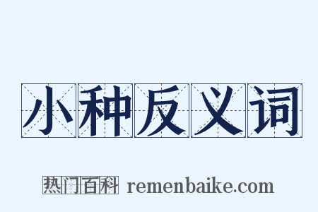 小种反义词是什么意思的图片